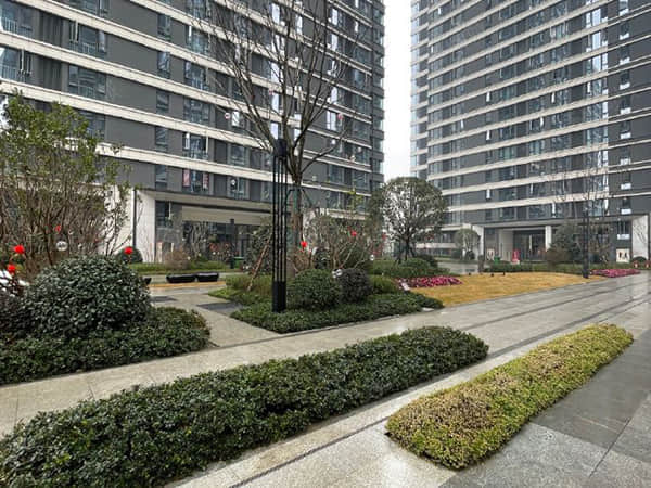 中西和美之声在悉尼奏响