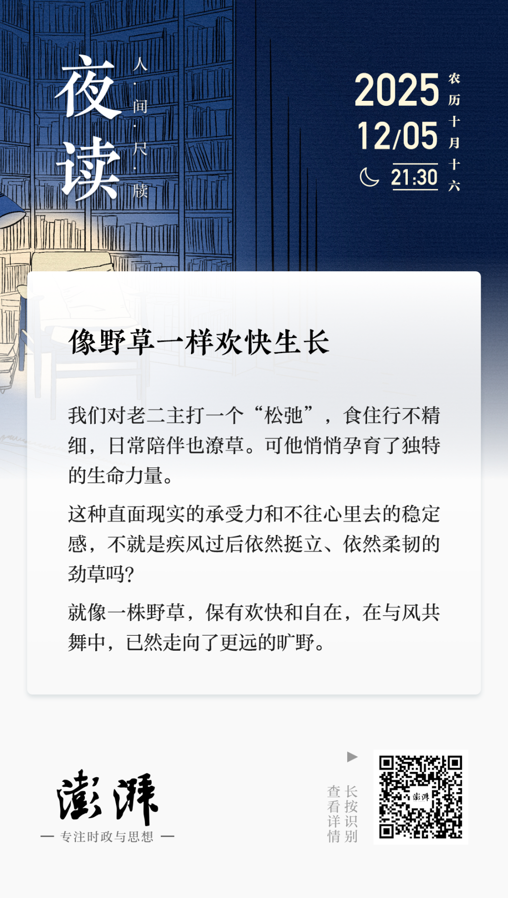 夜读|像野草一样欢快生长